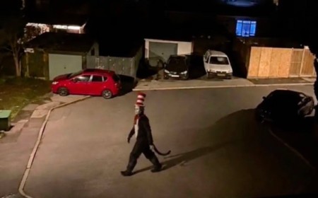 Photos of ‘Cat in the Hat Serial Killer’ Are AI-Generated, Police Say