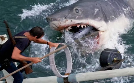The Best Shark Movie Since Jaws Is Now Streaming On Netflix