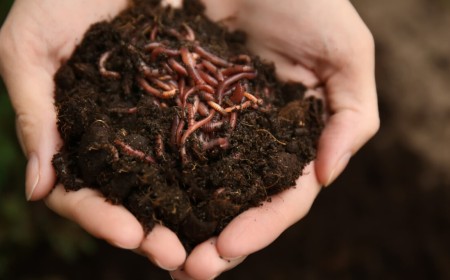 ChainDrop worm crawls into npm supply chain, evades standard defenses