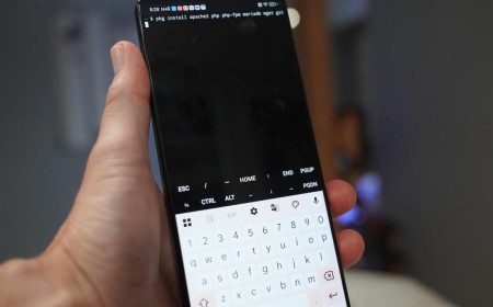 I turned an old Android phone into a server for my LAN - here's how and why