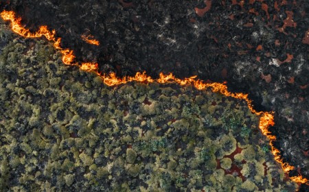 Senators demand crackdown on wildfire "prediction markets"