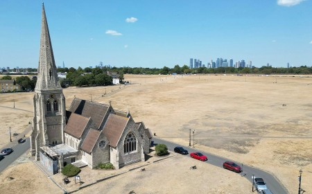 This Photo Makes London Look Like California Amid the Summer Drought