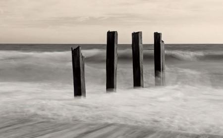 I'm a pro photographer, and the best photo I took this month was shot on my Google Pixel 8 Pro, using a feature iPhone owners would give their right arm for