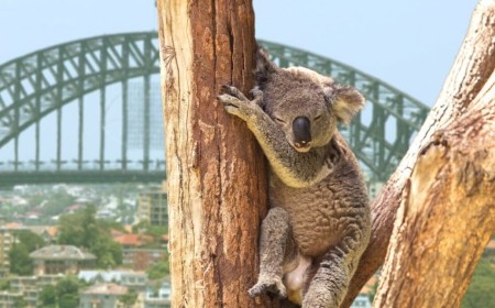 Australian hotel chain leaks guests’ PII after breach at third-party database operator
