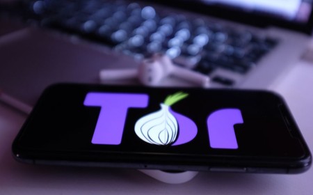 Meet Snowflake Volunteer: Tor's Android app that lets you help people bypass censorship