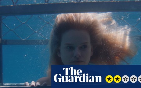 Chum review – daft shark attack movie with wedding guests running gamut of toothy undersea beast
