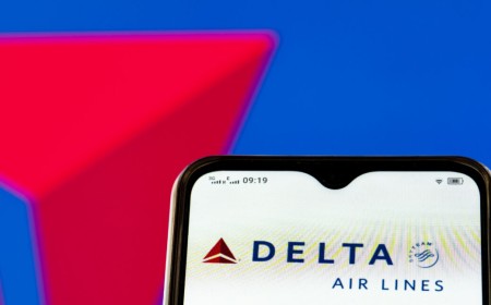 DEF CON crowd suspected in fake-hotspot attack on Delta flight
