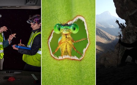 11 Award-Winning Photos Show Science in Action