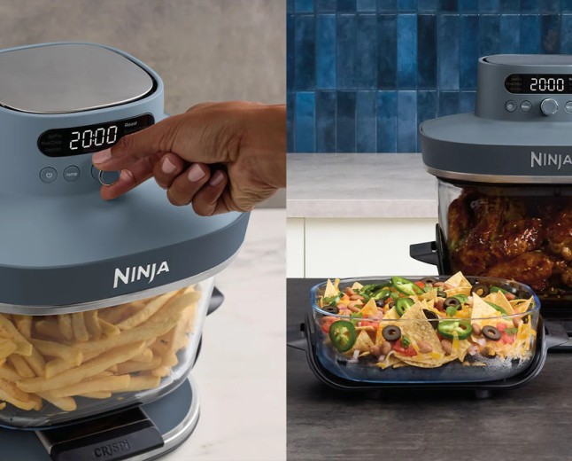 Ditching my plastic air fryer for the non-toxic Ninja Crispi Pro was the best kitchen upgrade I made this year