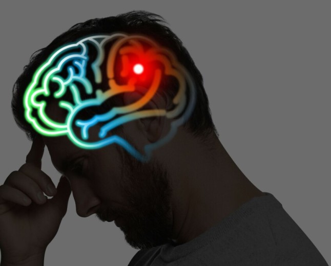 AI models get convenient amnesia about source material as they grow, MIT boffins find