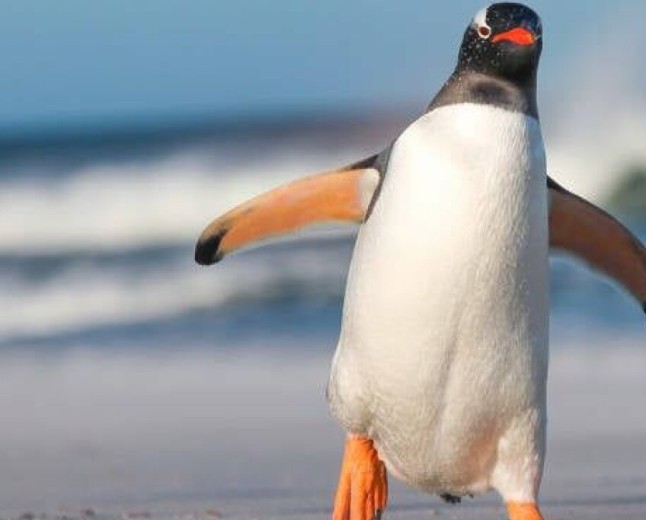 Linus Torvalds says AI has made 'huge' Linux kernel updates the new normal