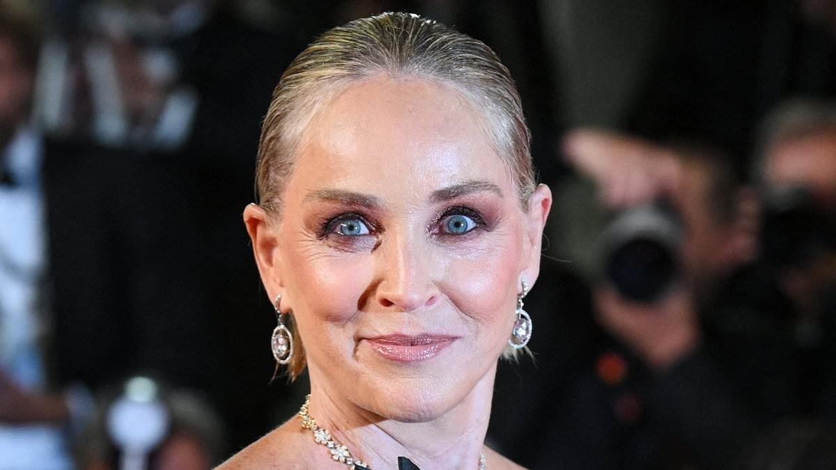 Sharon Stone issues scathing critique of her 1993 film Sliver... after co-star Billy Baldwin vowed to 'never work with her again'