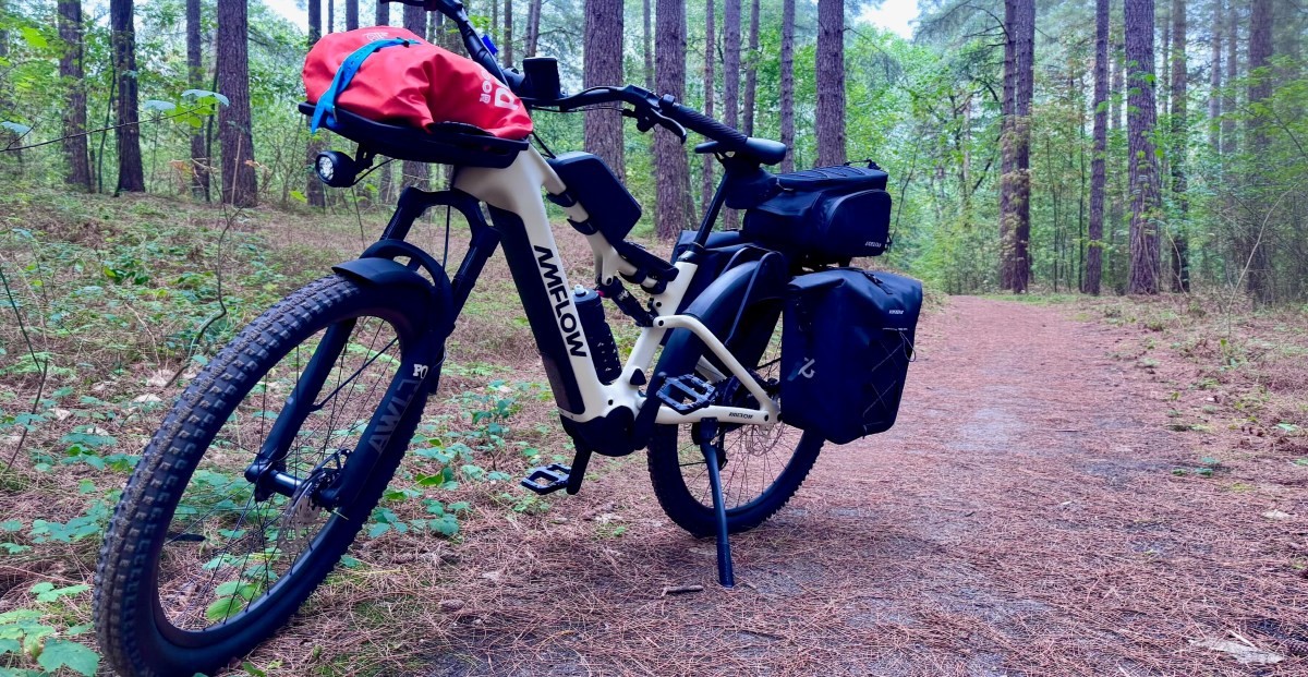 Can ‘eSUV’ e-bikes really go from trail to town?