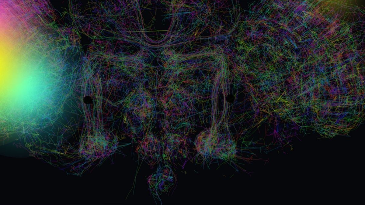 Google's simulated fruit fly brain 'mines Bitcoin' in web browser proof of concept — FutureBit says real organic neuron miner could have '10x the efficiency of the best silicon 3nm ASICs'