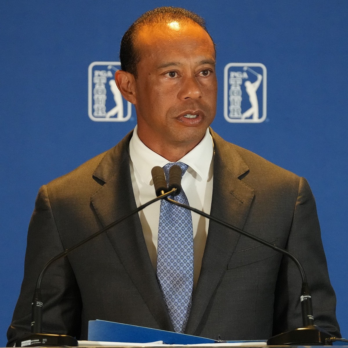 Tiger Woods Gets License Suspended for 5 Years in DUI Plea Deal