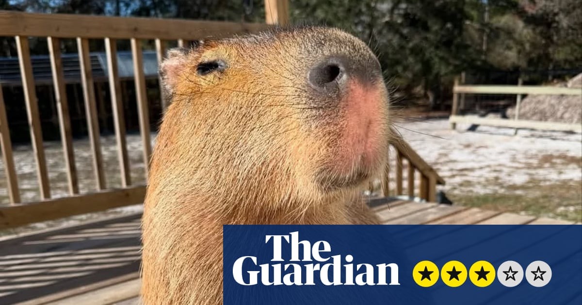 The Route to Cappyness review – capybara boosterism is an ode to the internet’s favourite rodent