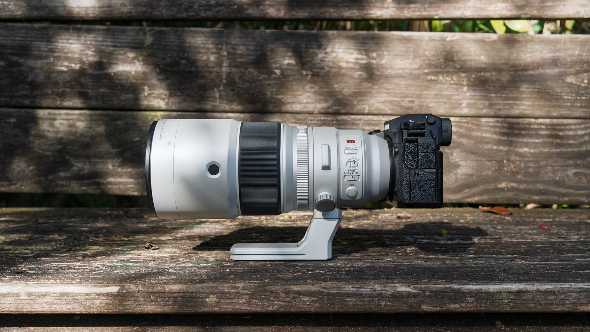 Fujifilm XF 400mm F4.5 sample gallery: testing the new wildlife prime