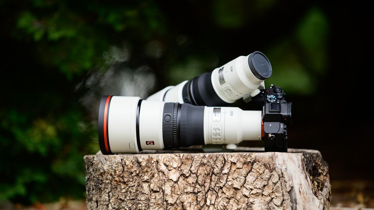 Sony’s new 400mm and 600mm super-telephoto primes make light work of a heavy hobby — here are my favorite wildlife photos I shot with the pair