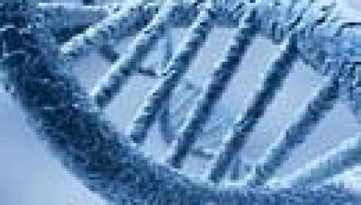 Google DeepMind rises above the AI scrum with genome atlas