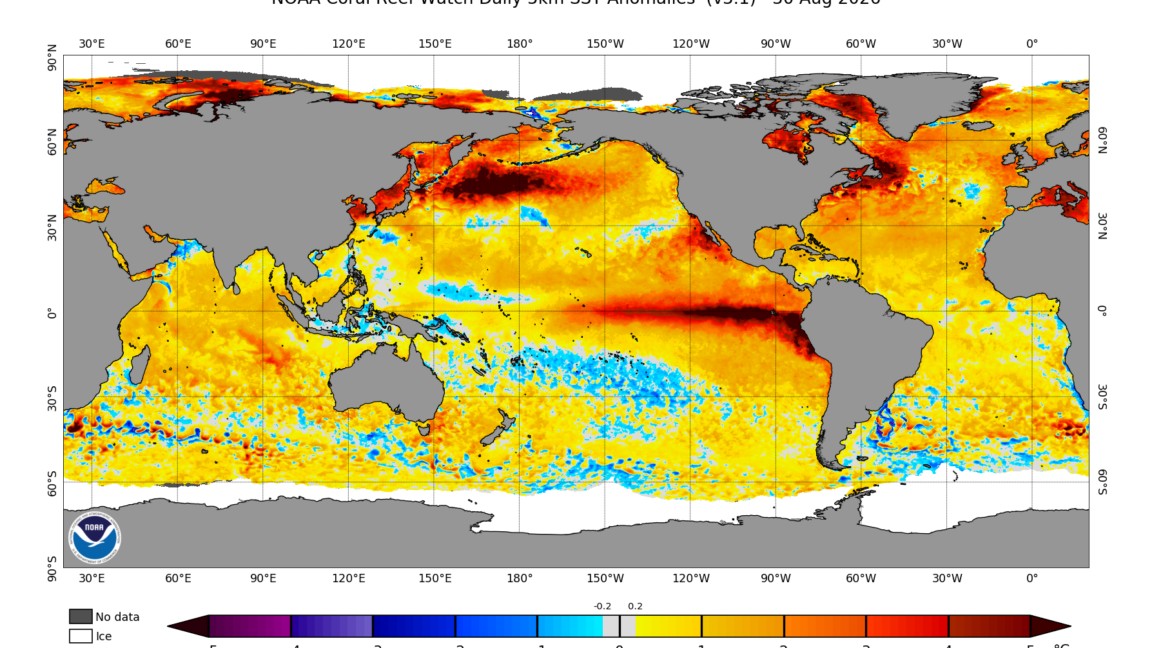 El Niño is now stronger than at any point in the last 1,000 years, study finds