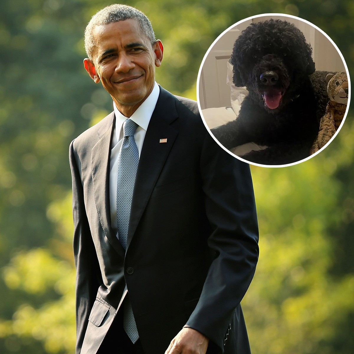 Barack Obama Mourns Death of Beloved Family Dog Sunny