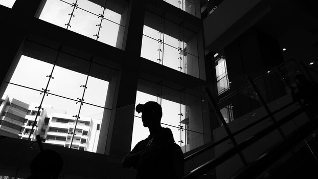 Does a Monochrome-Only Camera Really Make Sense?