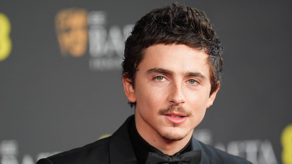 Timothée Chalamet’s First Major Role Was In A 96-Episode Spy Thriller Masterpiece Now On Netflix