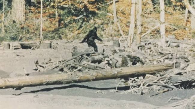 New Documentary ‘Capturing Bigfoot’ Blows the Legend of the Sasquatch Wide Open — Watch Trailer