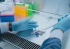 AI Models Built From Rat Brains Just Got Closer to Reality