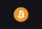 Spot Bitcoin ETFs pull in $313M net inflow through first 18 days of September