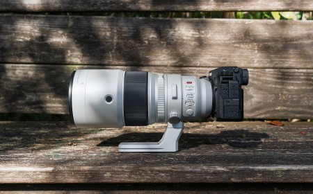 Fujifilm XF 400mm F4.5 sample gallery: testing the new wildlife prime