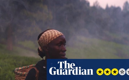 Kikuyu Land review – the colonial-era misery behind our morning cup of tea