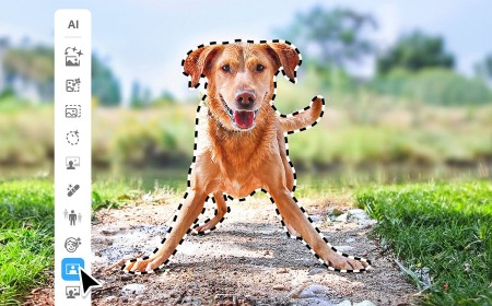 Photoshop and Premiere Elements 2027 Make Photo and Video Easy