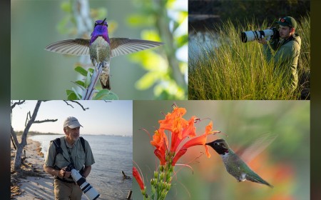 OM System Says You’ve Never Seen Birds Like This Before