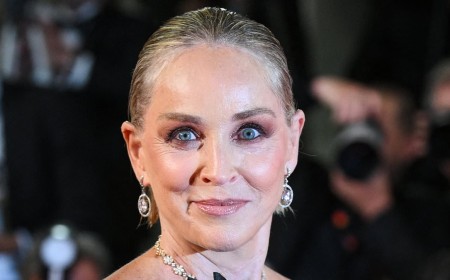 Sharon Stone issues scathing critique of her 1993 film Sliver... after co-star Billy Baldwin vowed to 'never work with her again'