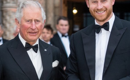 Has Prince Harry Spoken to King Charles Since U.K. Return? The Truth