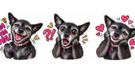 I thought ChatGPT’s new Stickers feature sounded like peak AI slop — then I made a pack I actually wanted to use