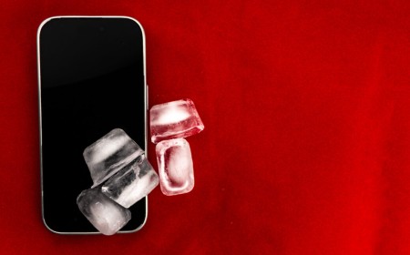 Apple worked with Trump admin to remove ICE-tracking apps, lawmaker says