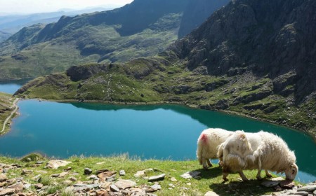 Welsh environment regulator's FoI blunder exposes diversity data of 2,000 staff