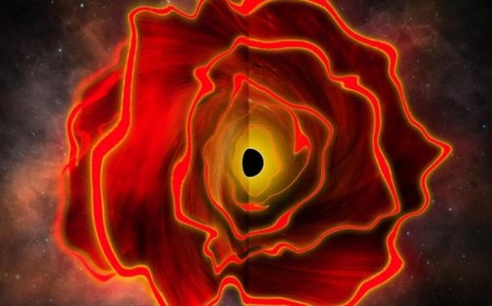 Research roundup: 7 cool science stories we almost missed