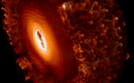 What happens when neutrinos swap identities inside a supernova?