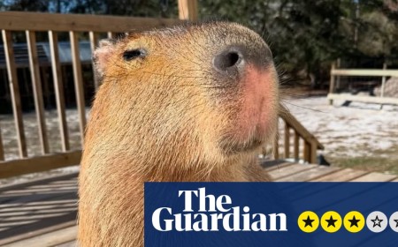 The Route to Cappyness review – capybara boosterism is an ode to the internet’s favourite rodent