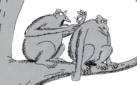 10 Greatest 'Far Side' Comics From the ‘80’s, Ranked