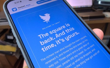 'It’s a grand experiment': Bluebird president on the Twitter revival platform that's now called 'Tweet' — and why it won't be using that blue bird