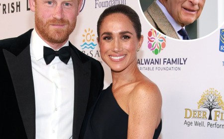 King Charles Addresses Prince Harry & Meghan Markle's Royal Status