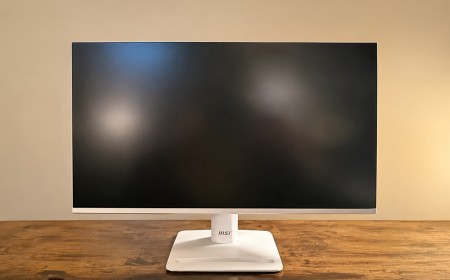 MSI Pro MP243W E14 review: A simple FHD business monitor at a spectacular price