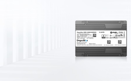 New DapuStor SSD pairs high-capacity QLC with a permanent pSLC region