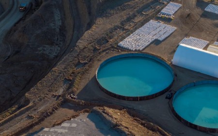 America gave up its rare earth edge. China took full advantage.