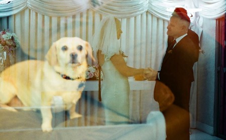 Photographer Accidentally Double-Exposes Wedding Photos With Pictures of Her Dog and Cat