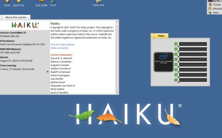 Haiku OS rises / Beta 6 sails open web / Virtual winds fly fast